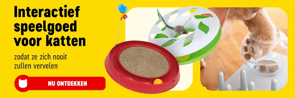 2025_06_InteractiveToys_BI_2400x800_NL-1-