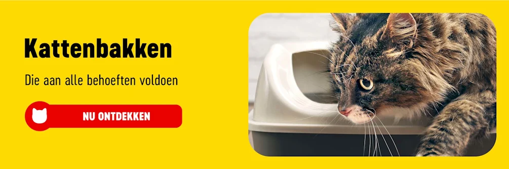 2025_07_CatToilet_BI_2400x800_NL-1-